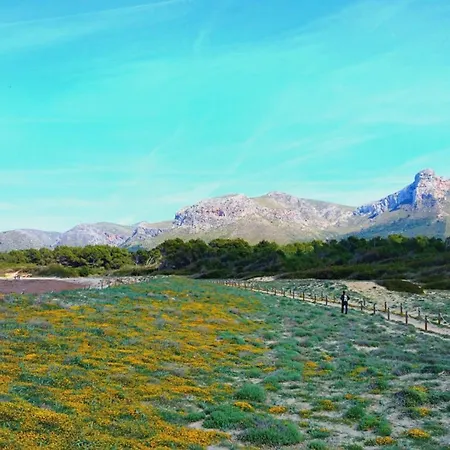 Sestanyol Colonia de Sant Pere